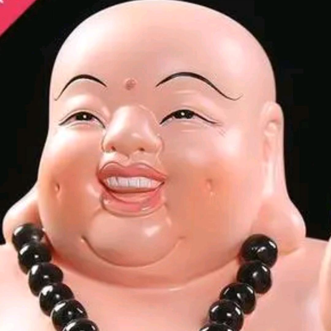 撩你的才华