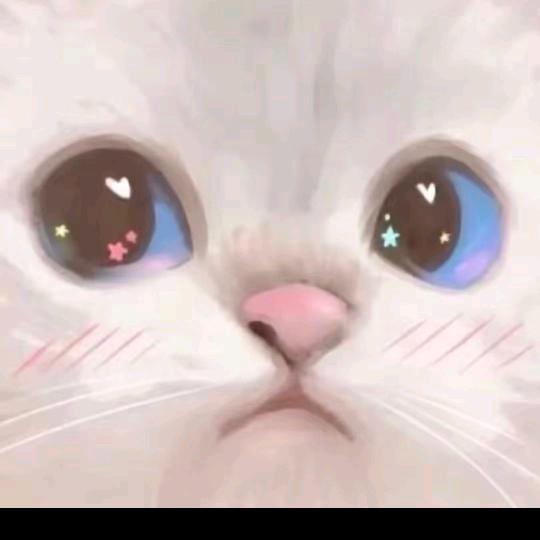 不想出去