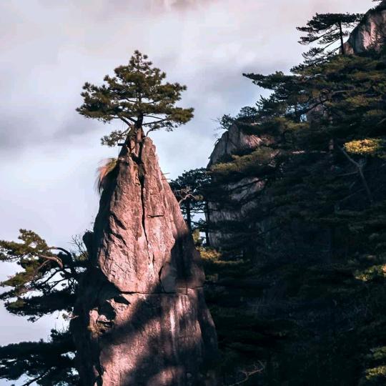 远东