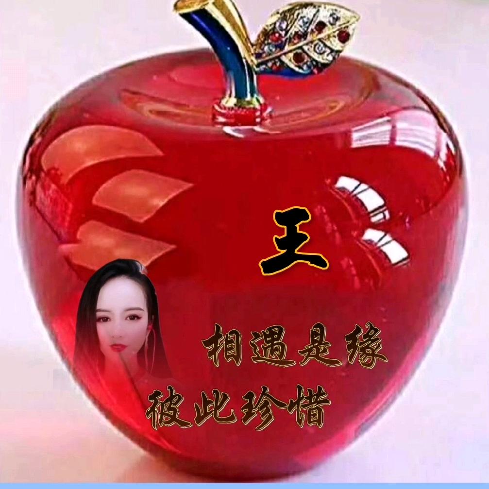 向前无悔