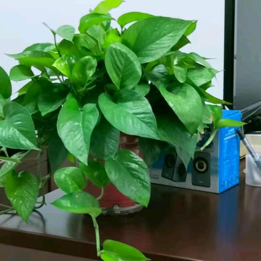 @袁水电工