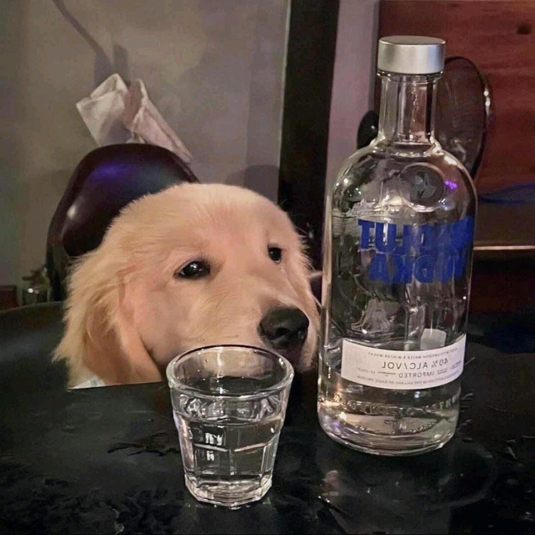 天天想睡觉