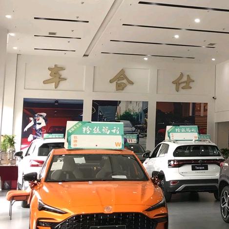 安顺车合仕-紫欣