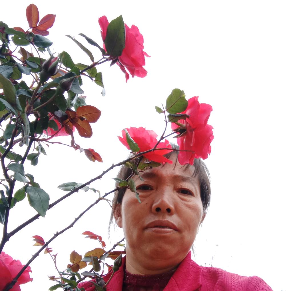 王