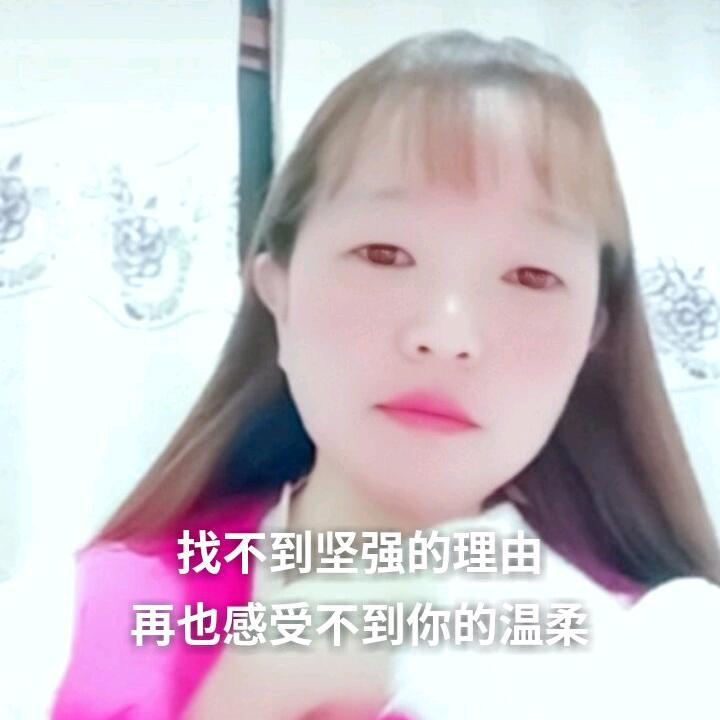 单身一人闯天涯《黄》