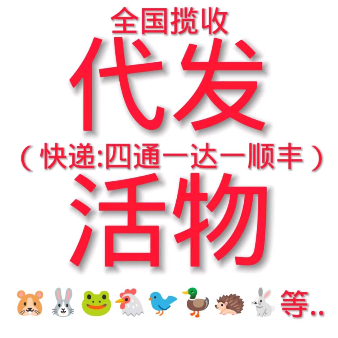 全国活体快递（总部备案）