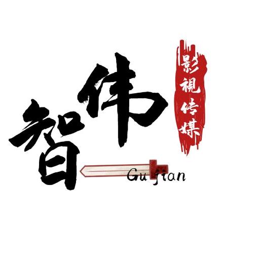 智伟影视传媒