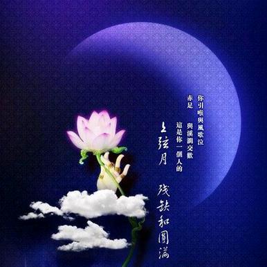 独酌月下
