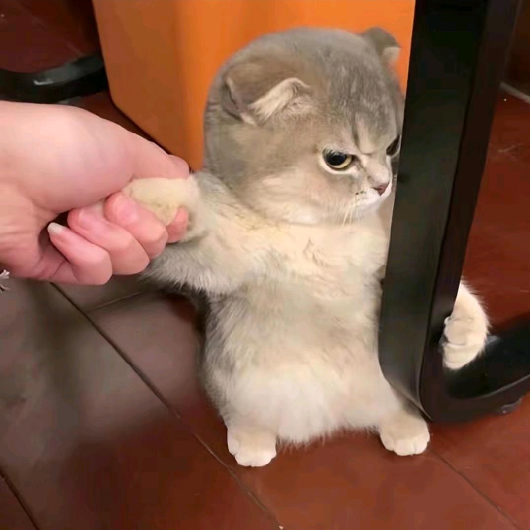 風吹〃PPˇ涼