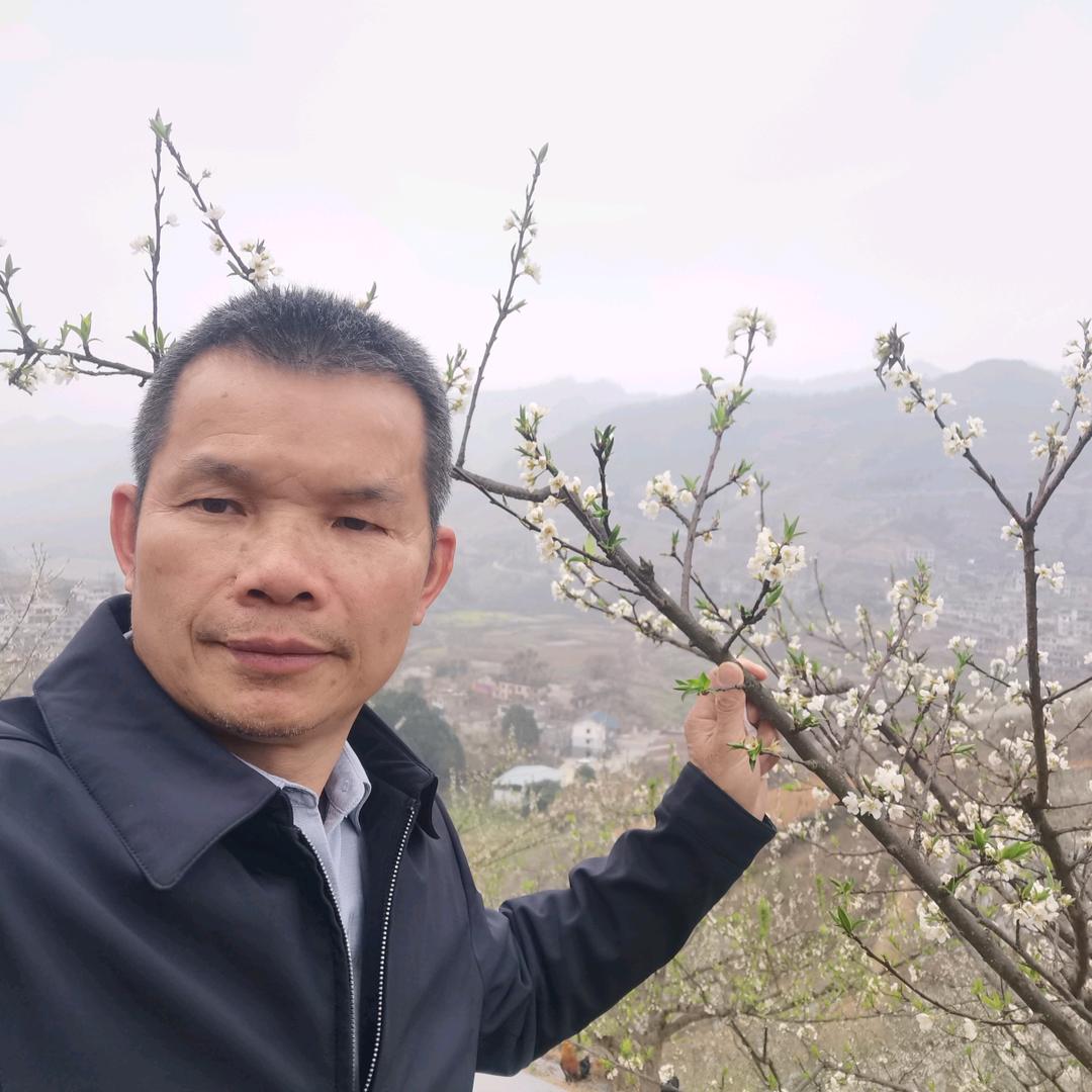 莫刚凡