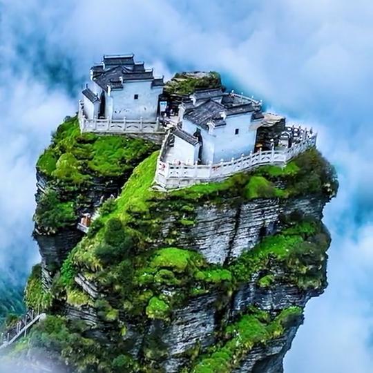龍虎天下