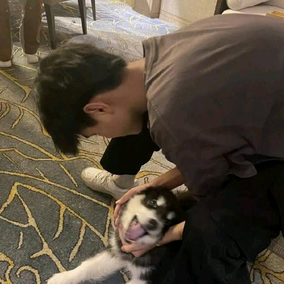 再不睡就天亮了.