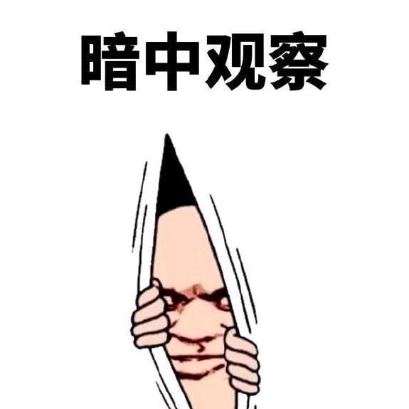 暗中-观察