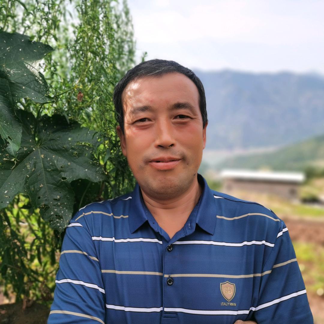 传明