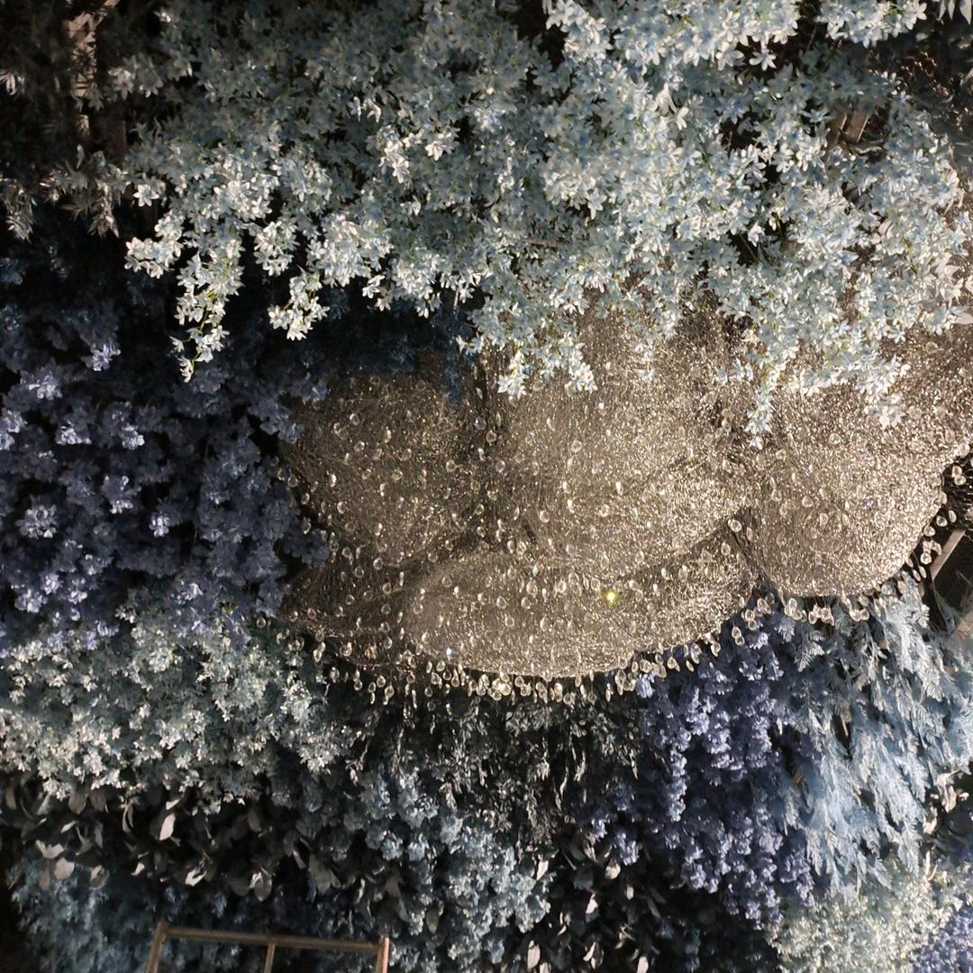 黎明