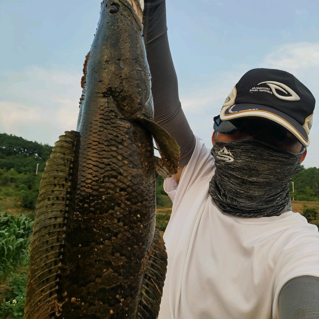 新三根黄瓜
