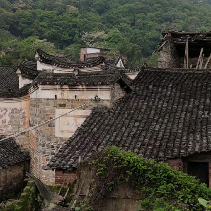 邹老板