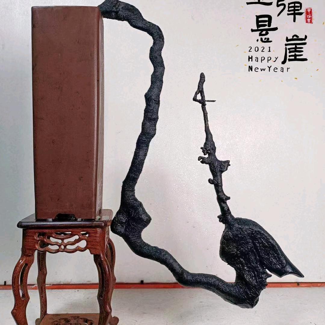 阿飞盆景园艺
