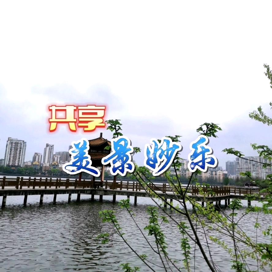 辑(≧∇≦)/