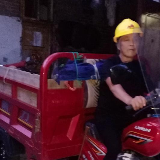 向心桃.