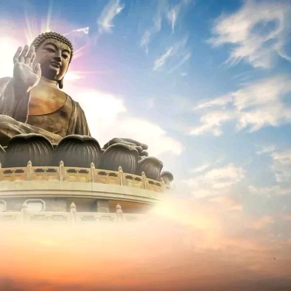 因果不空