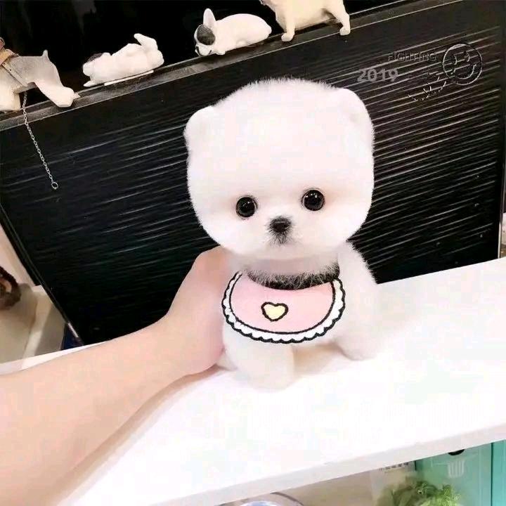 知足静常乐