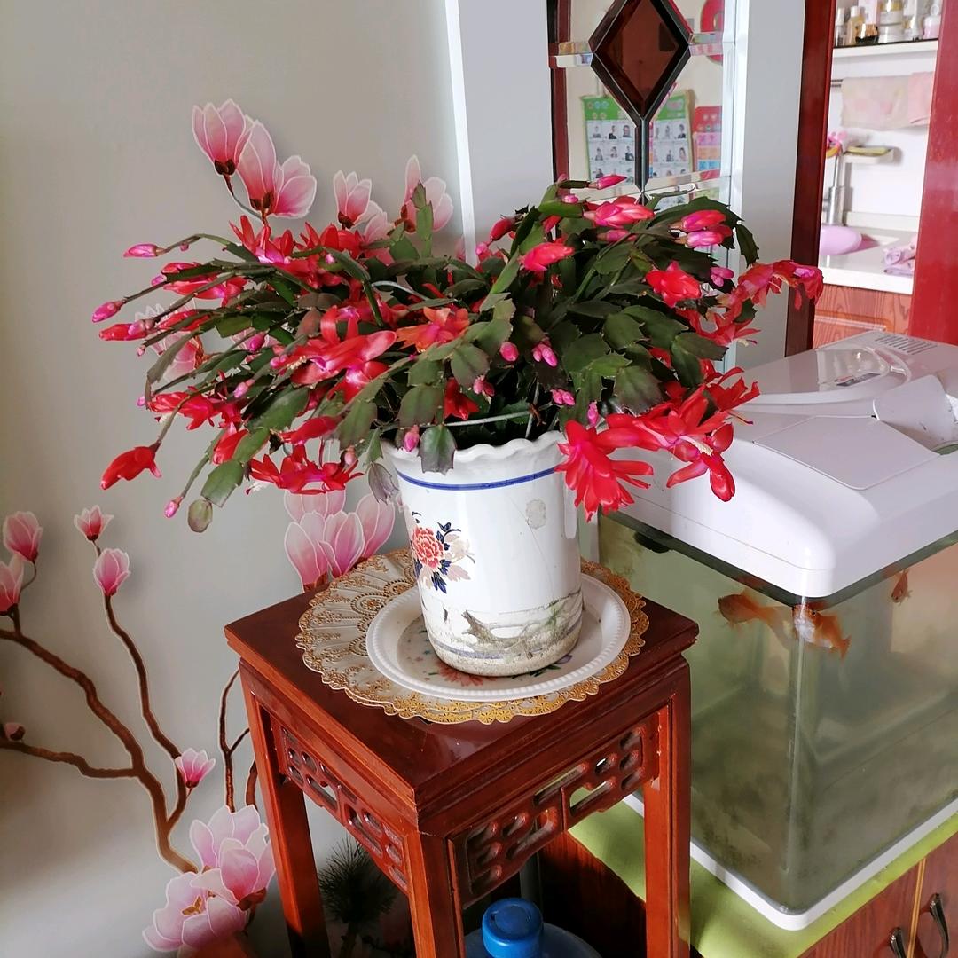 香水百