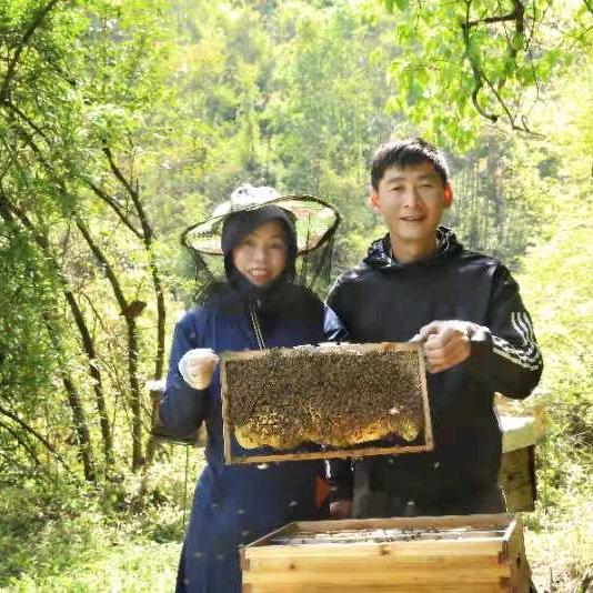 永嘉县桥头镇蜂生蜜蜜蜂养殖场