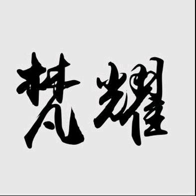 49395056938