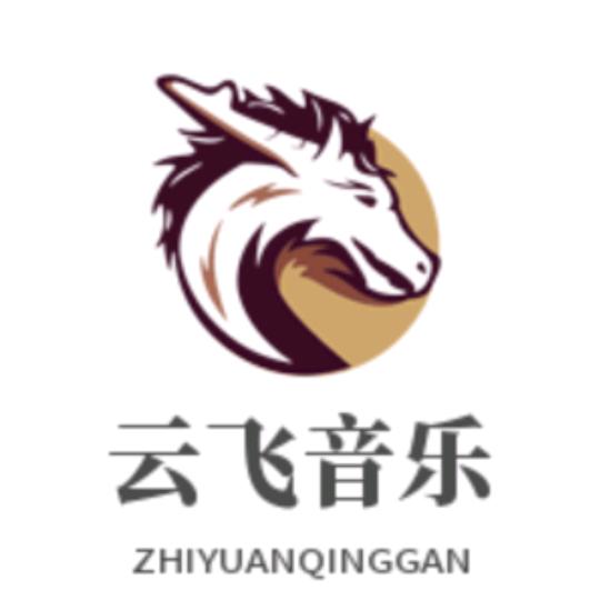 云飞音乐
