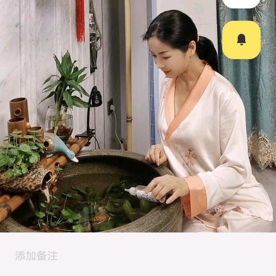 雪娥古法生态缸养鱼