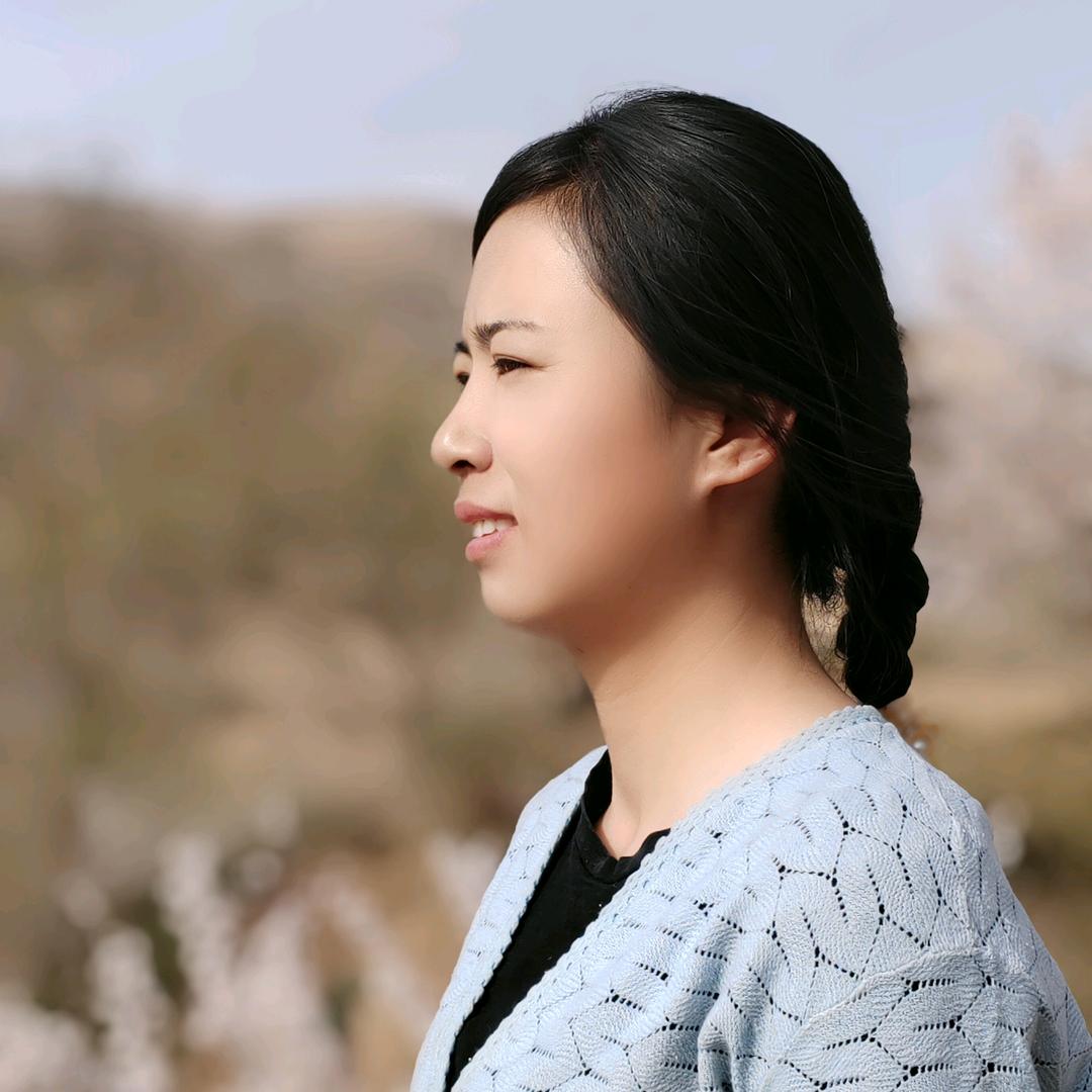 印象甘肃梅梅