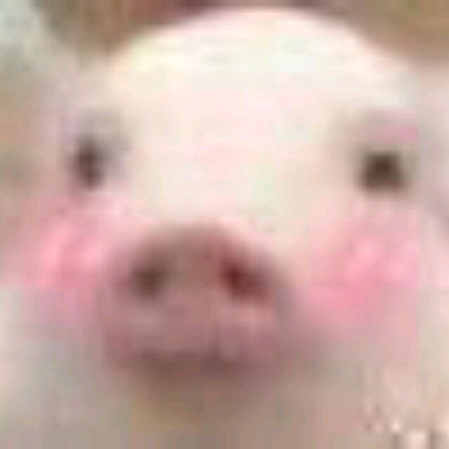 Amelia_