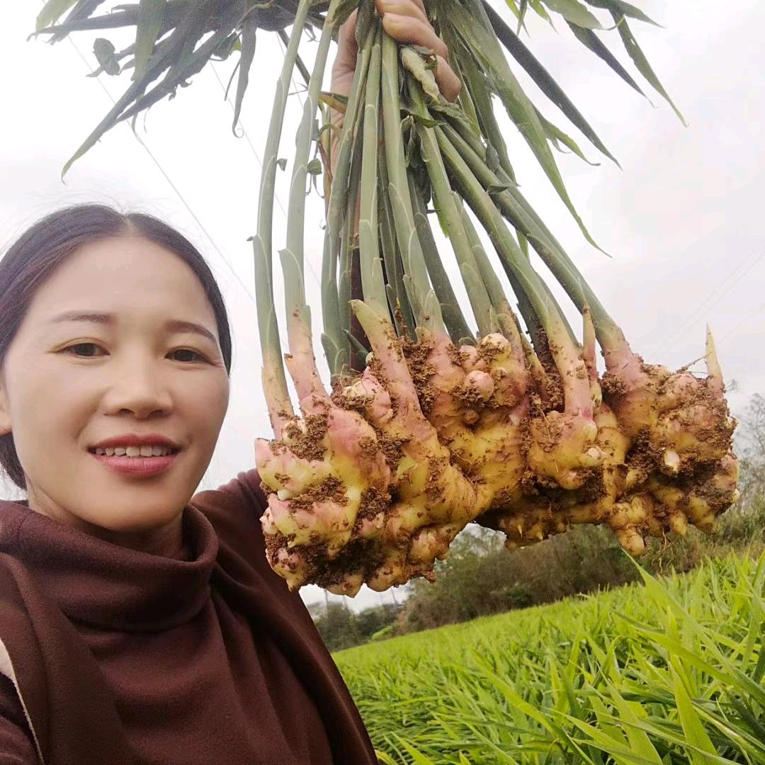 小李助农