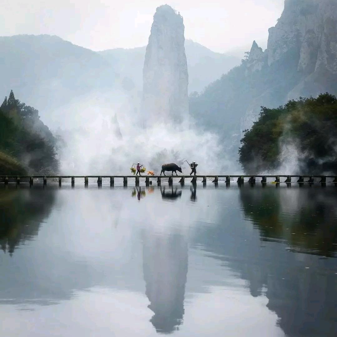 阿钊醉影6688