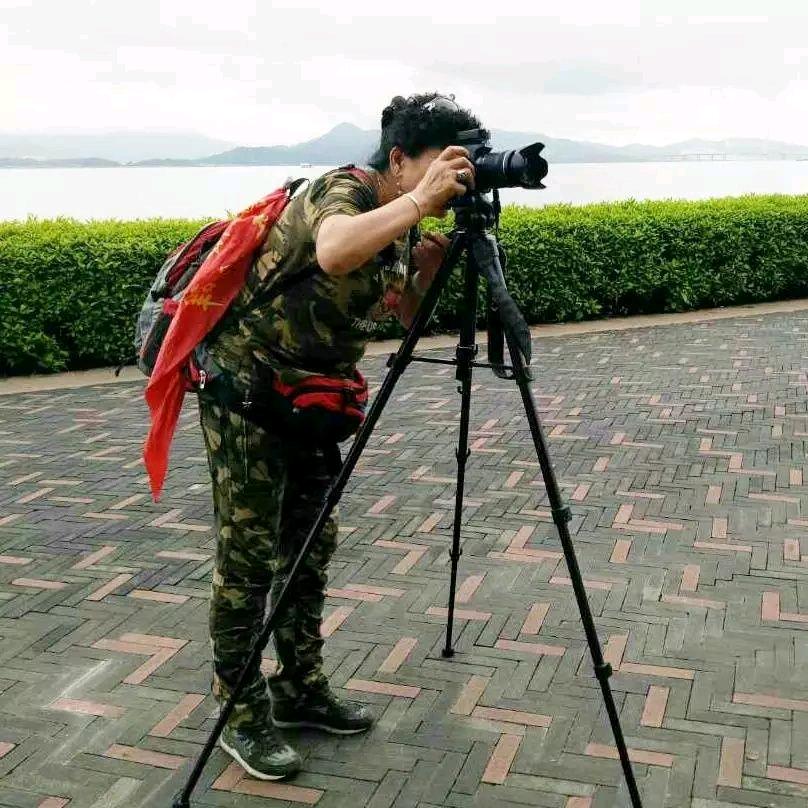 芝姐短视频