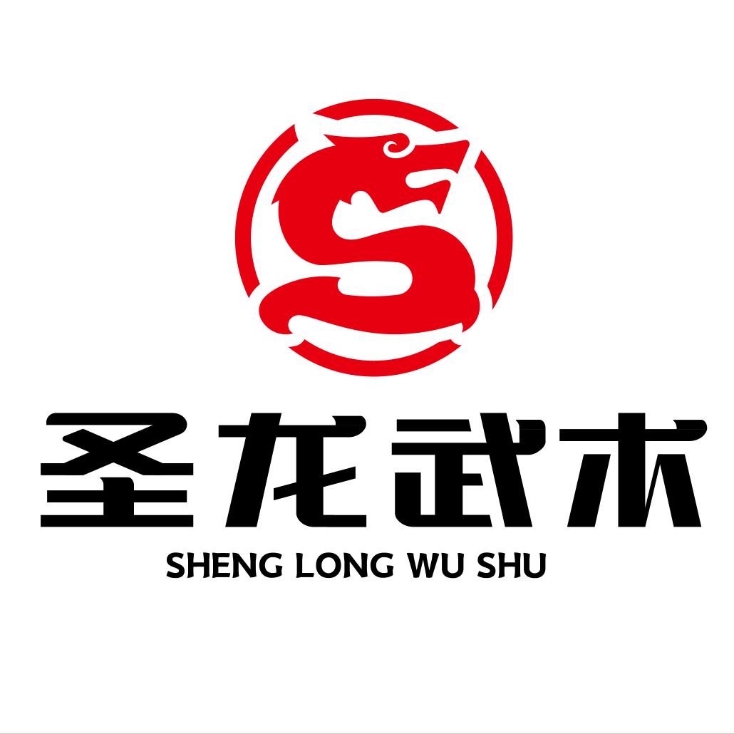 圣龙武术官方号