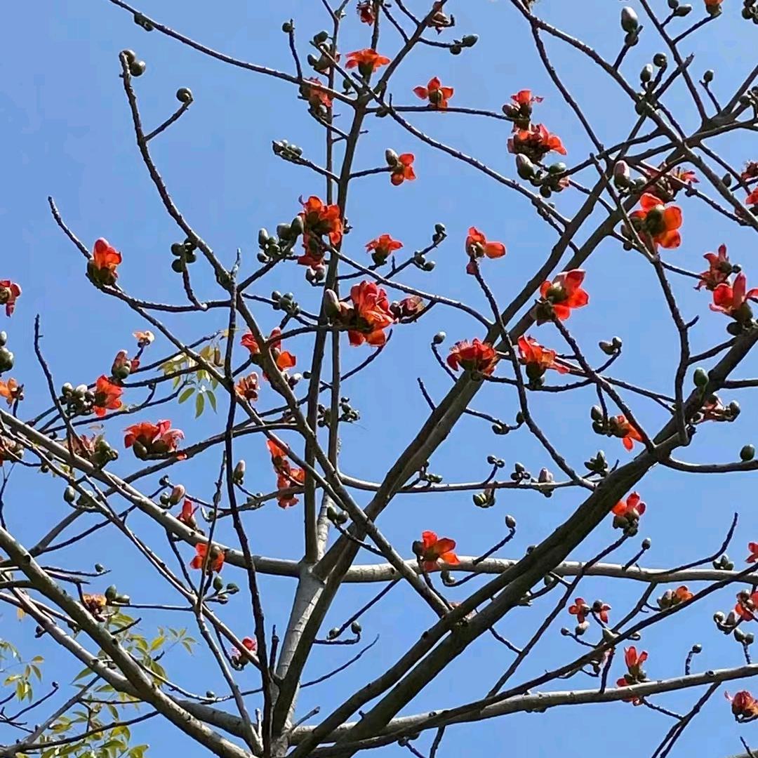 满满好物🍒