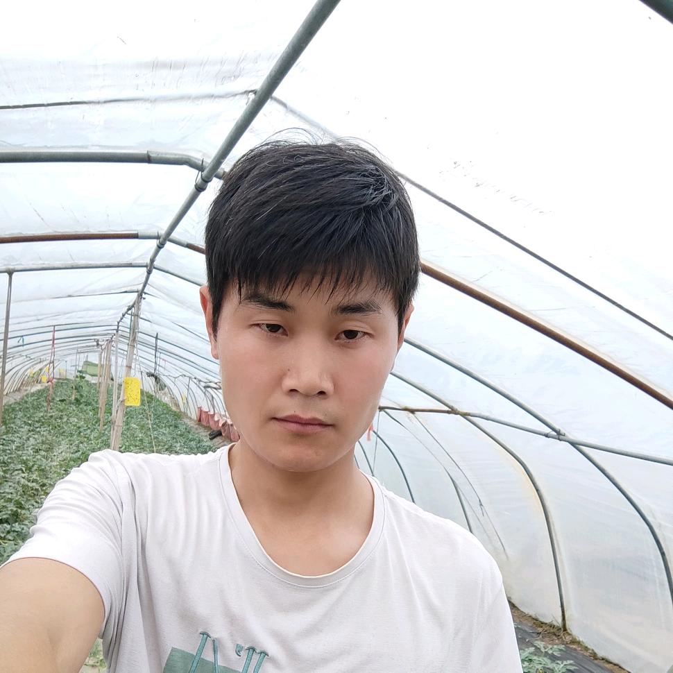 路上农村人