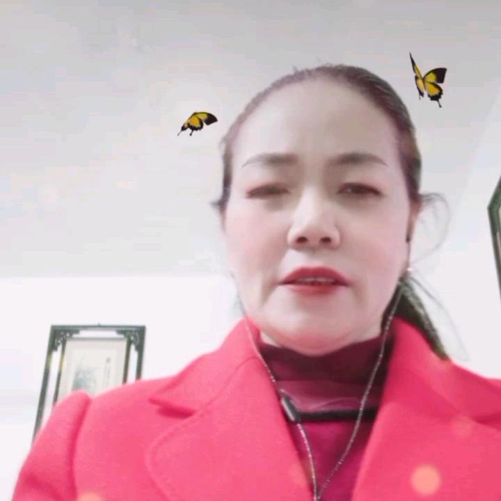 碧碧姐《停播学习中》