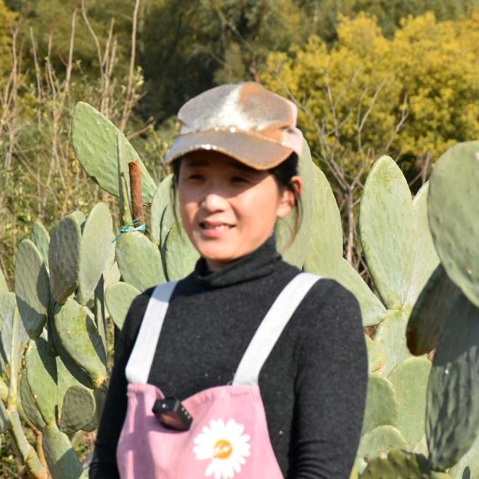 艾姐的仙人掌蔬菜园