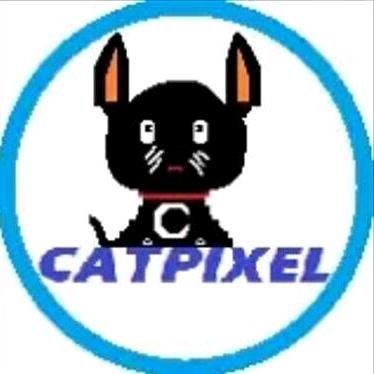 CatPixel服务器团队