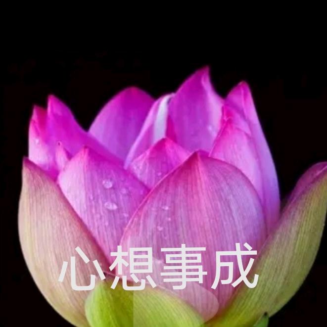 隔壁家晓苏✨