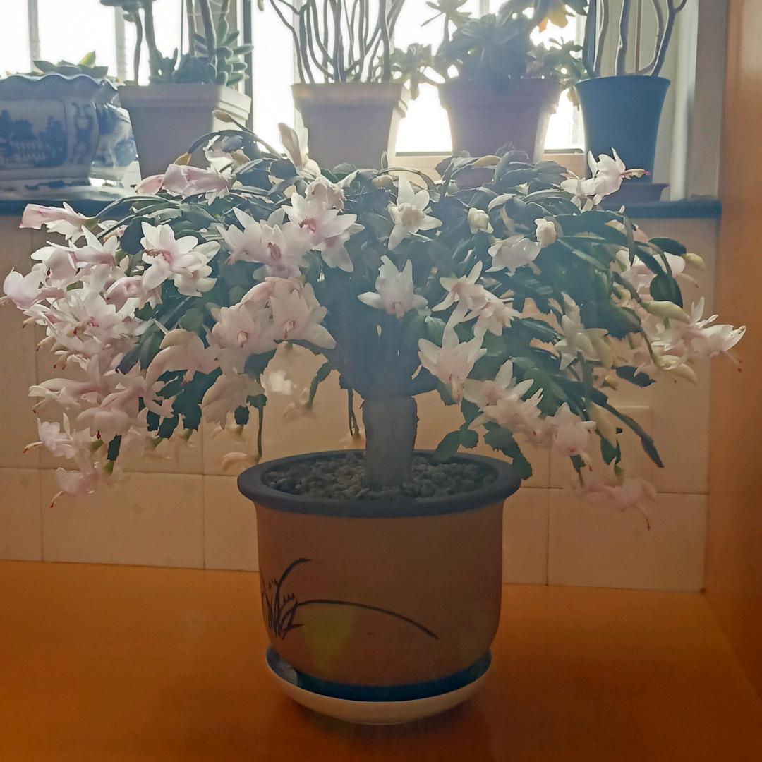 逐梦未来