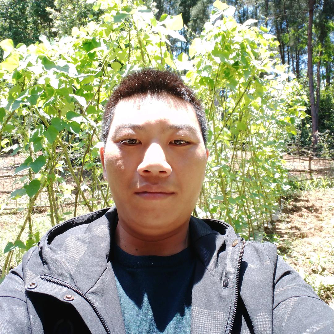 天天有你