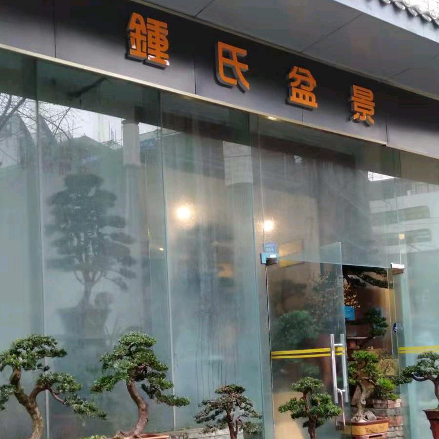 郫都盆景+手养鹦鹉