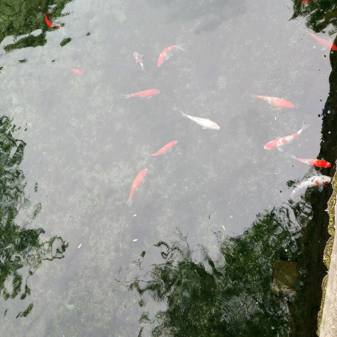 吃喝玩乐