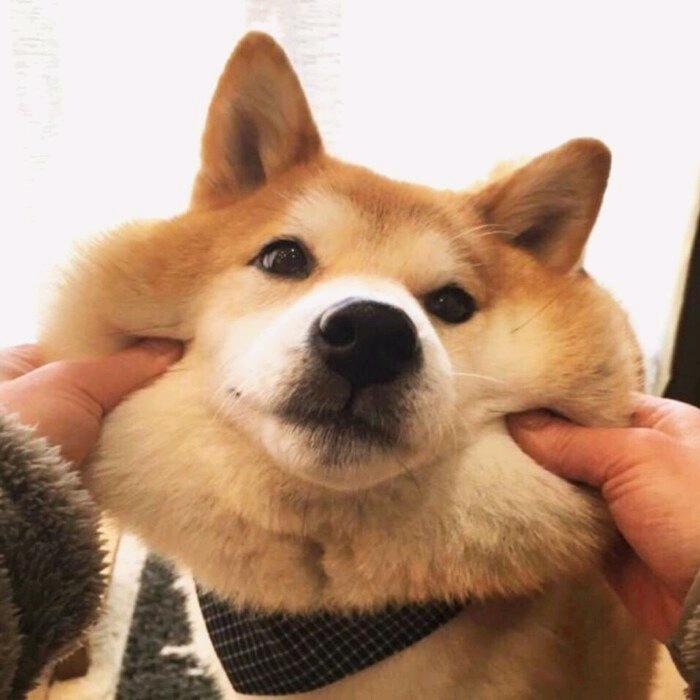 🌈安宁🤩