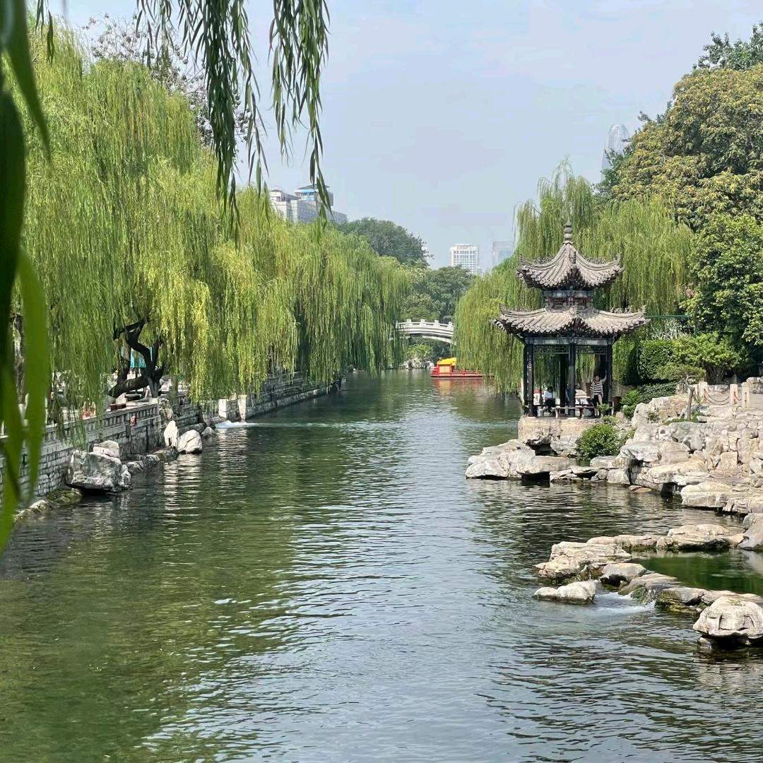 叶老师