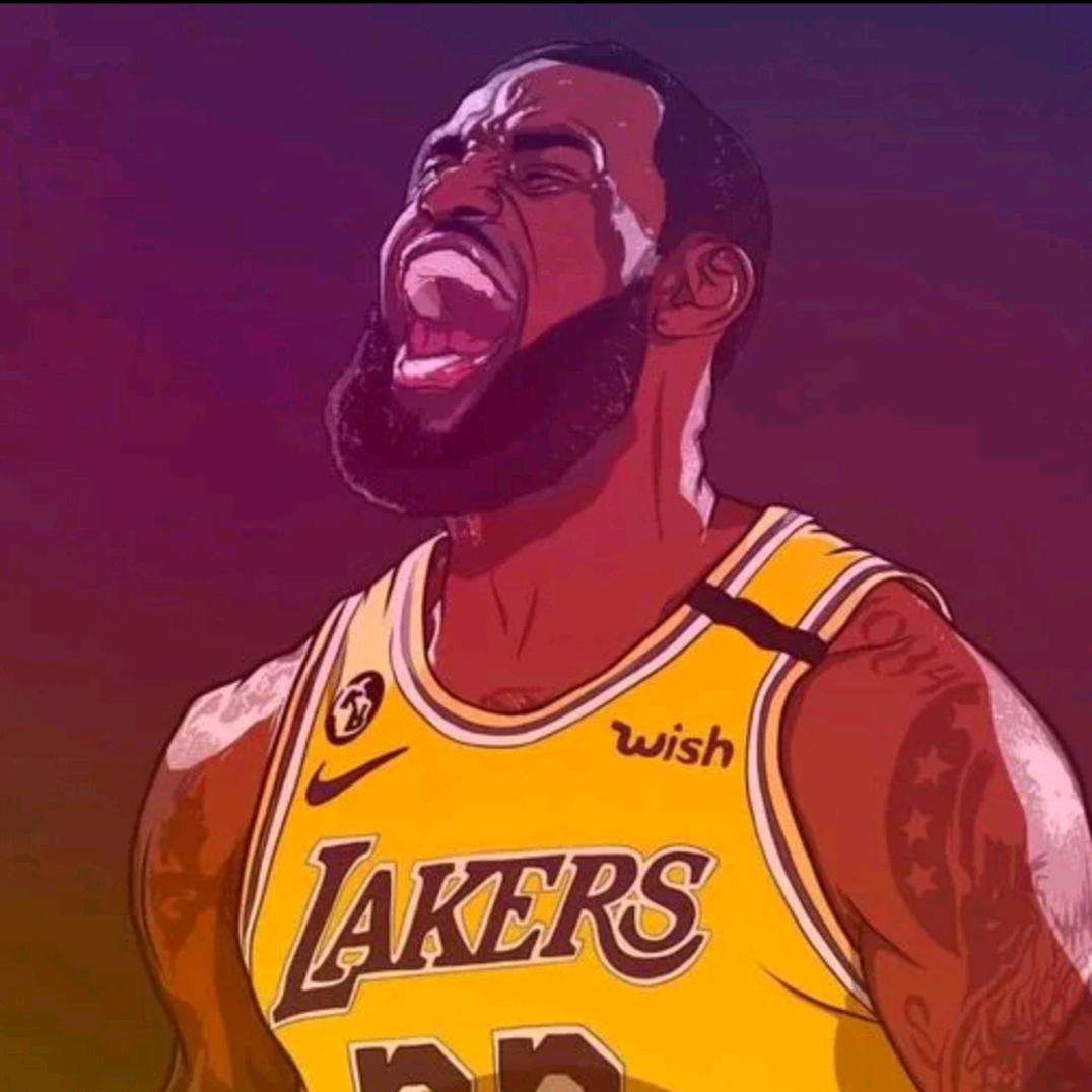 北美野战场🏀